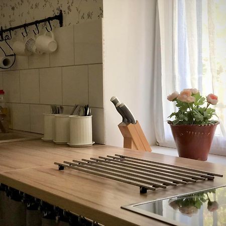 Alpakarium, Hodowla Alpak & Pensjonat Stara Kornica Eksteriør bilde