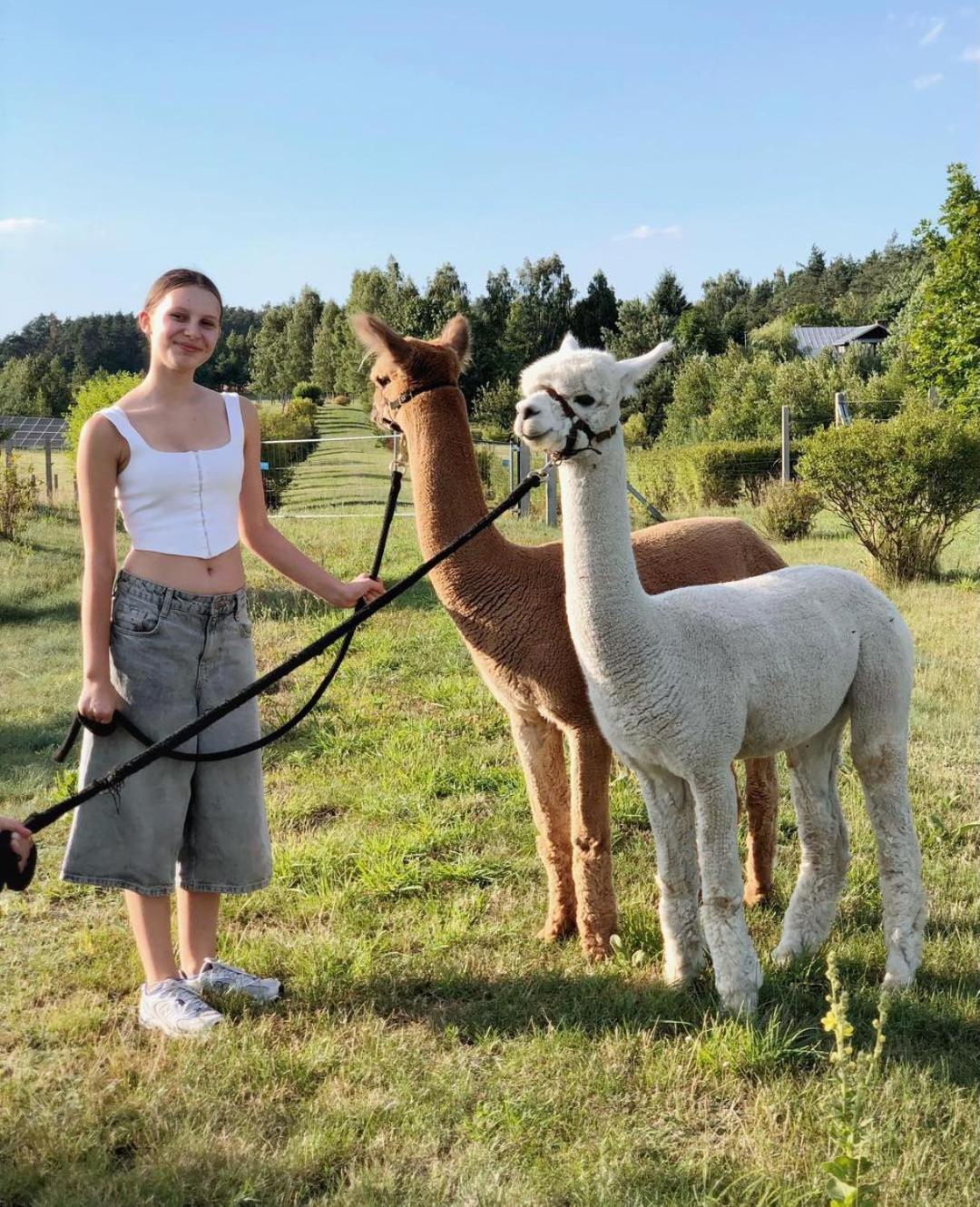 Alpakarium, Hodowla Alpak & Pensjonat Stara Kornica Eksteriør bilde